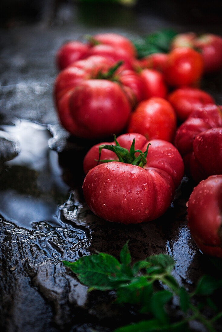 Diverse Fresh Tomatoes Over Black Board