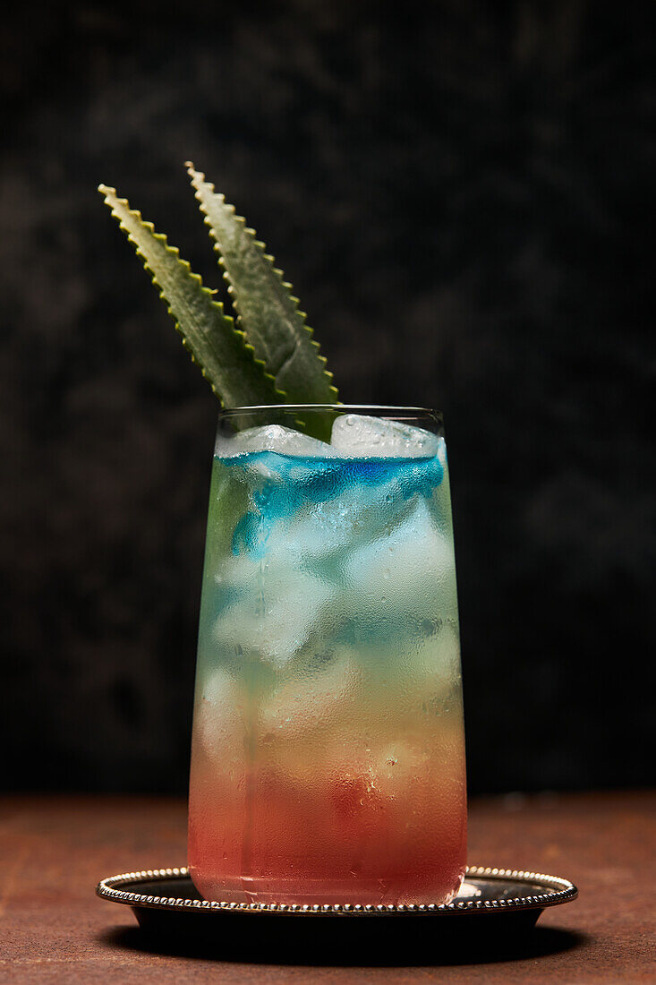 Glas Regenbogenparadies mit buntem Cocktail, garniert mit Blättern auf einem Metalltablett auf dem Tisch