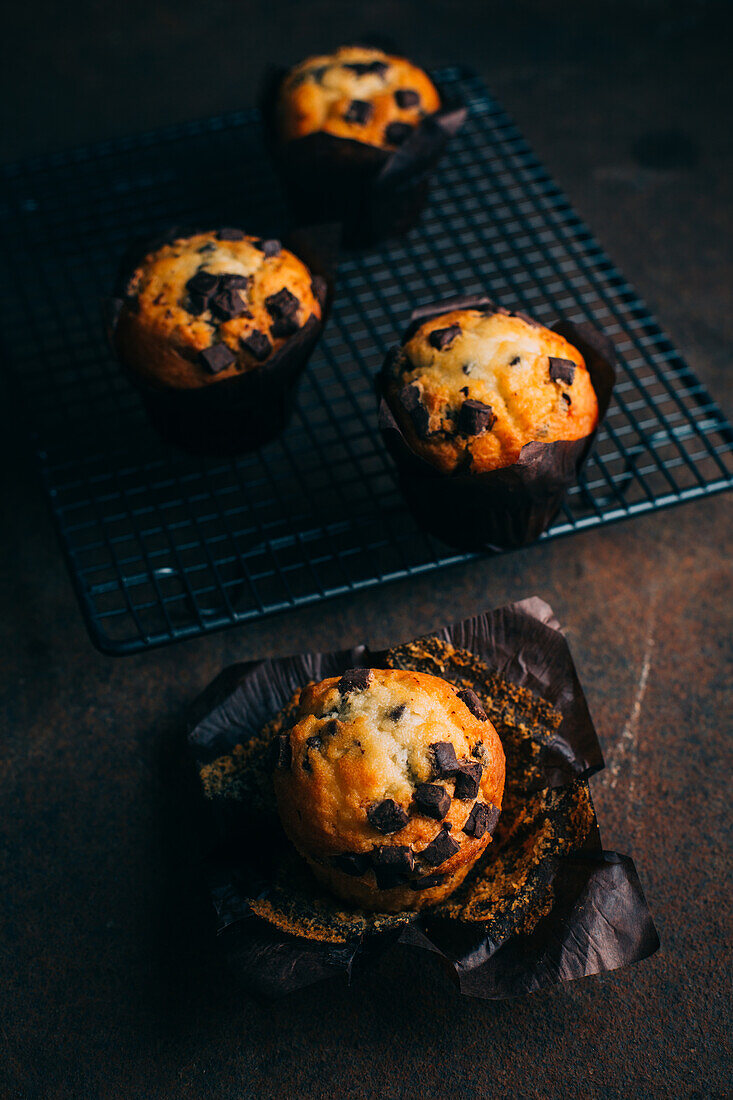 Schokoladenmuffins auf Kühlregal vor dunklem Hintergrund