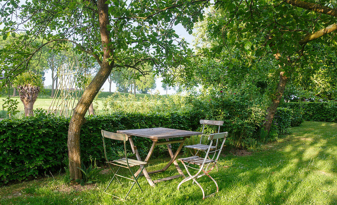 Wooden table and chairs under trees in the garden