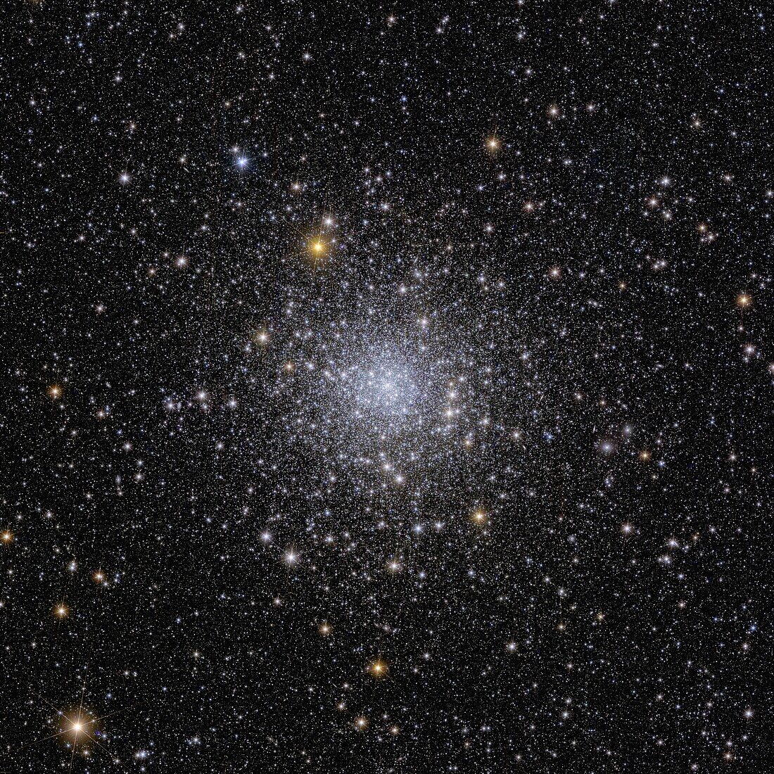 Globular cluster NGC 6397, Euclid image