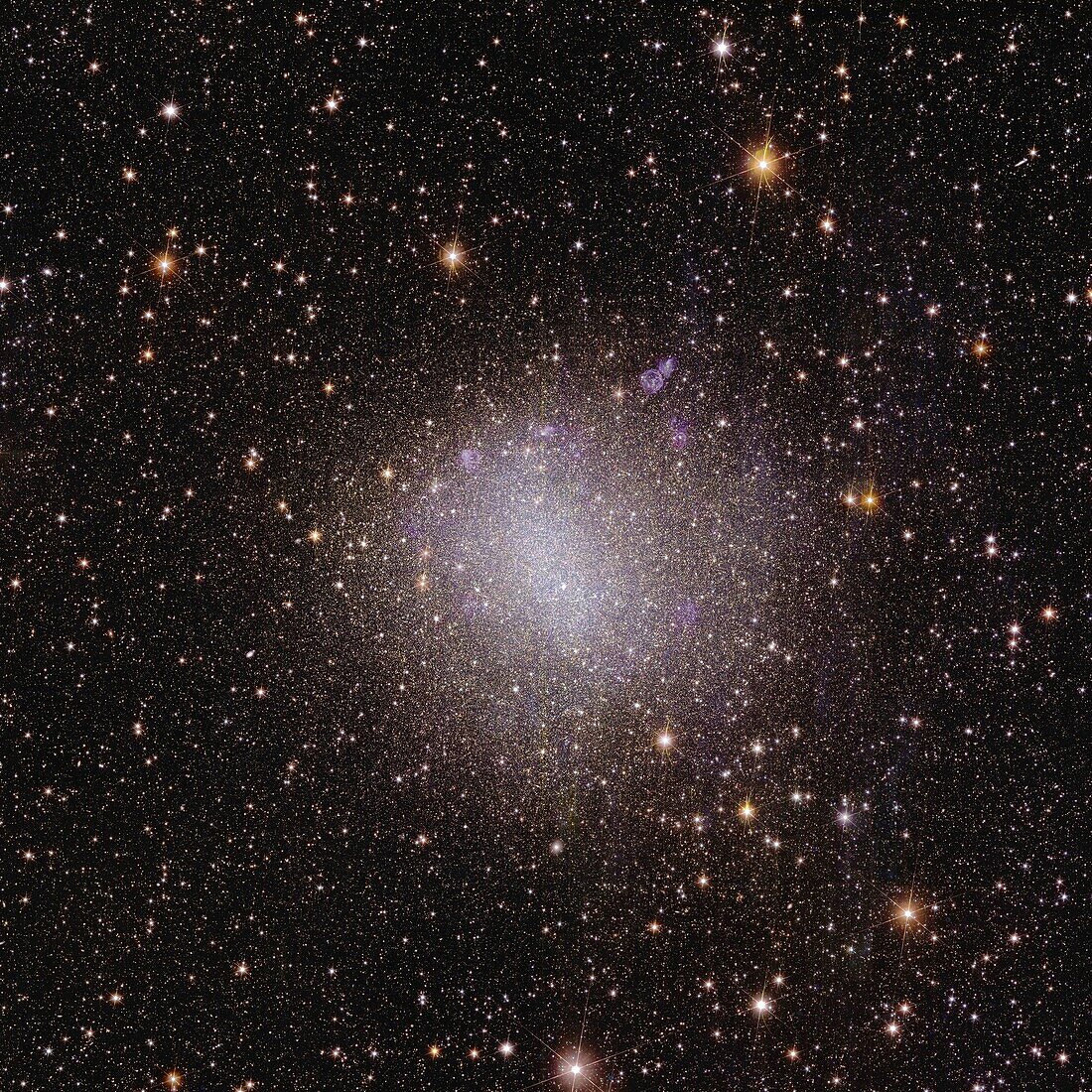 Irregular galaxy NGC 6822, Euclid image