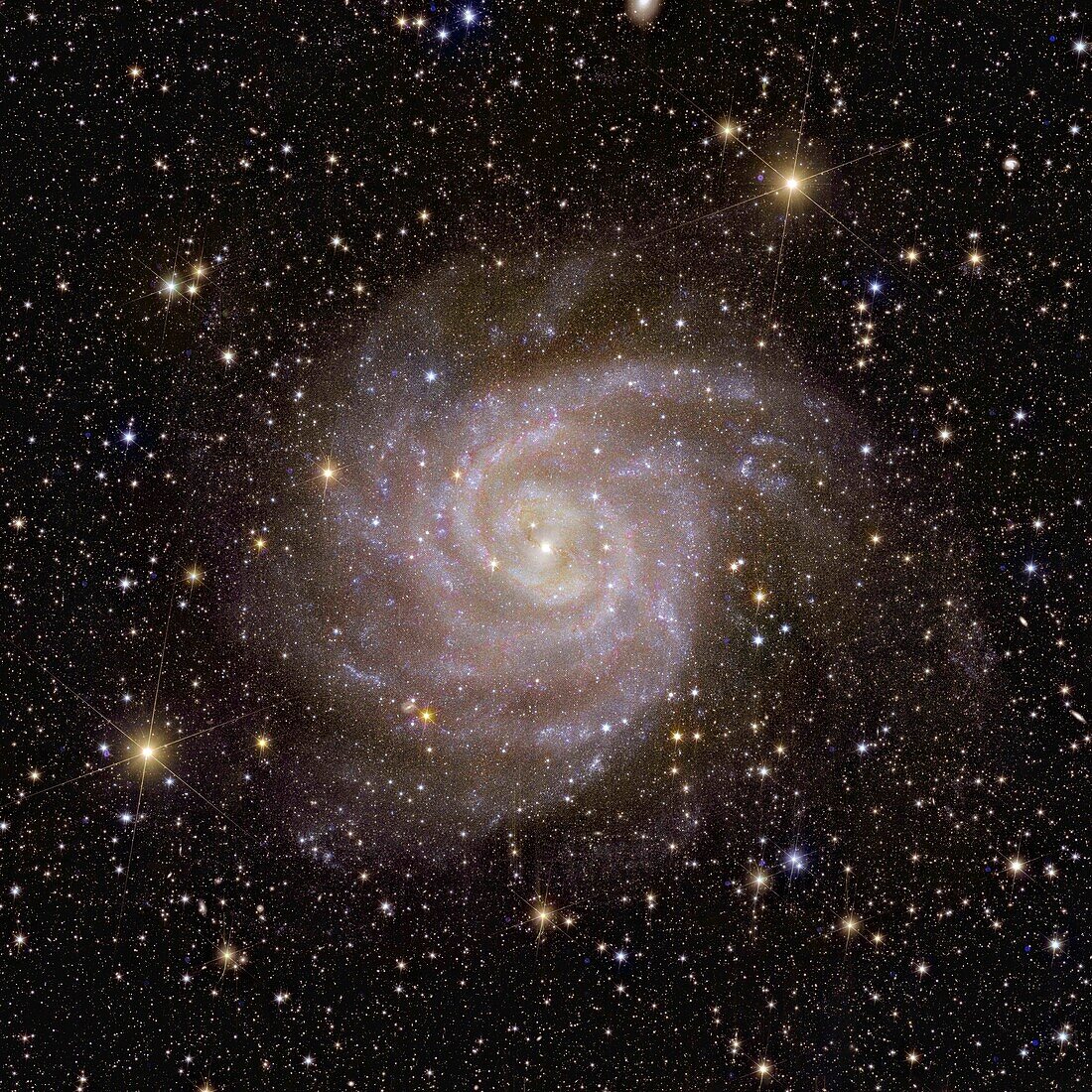 Spiral galaxy IC 342, Euclid image