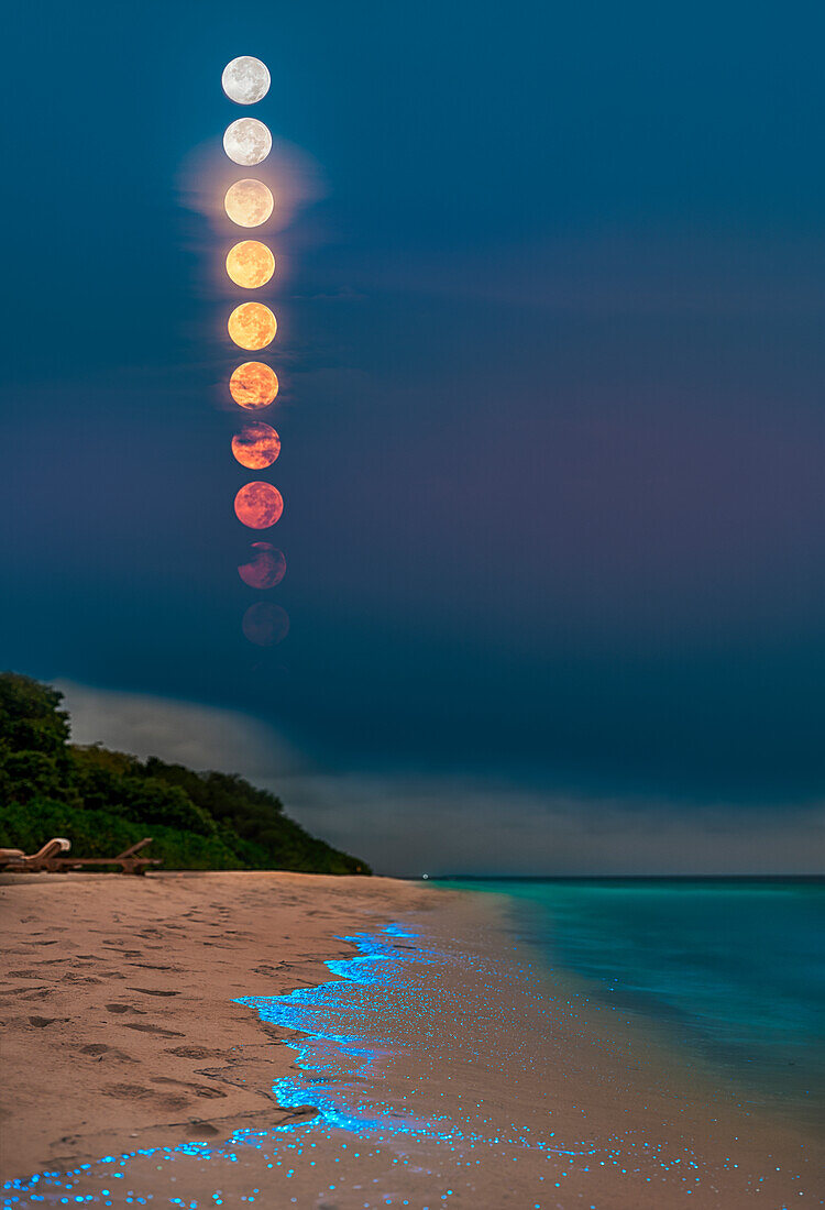 Setting Moon and bioluminescent plankton, composite image