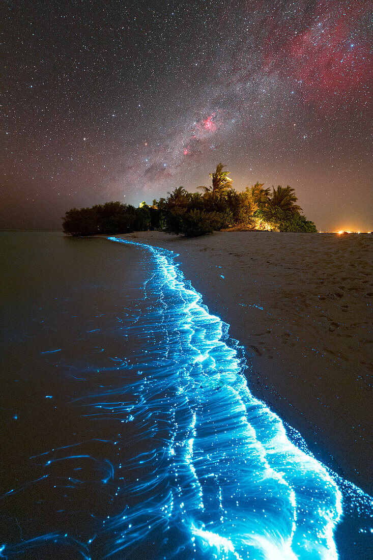 Bioluminescent plankton at night, composite image