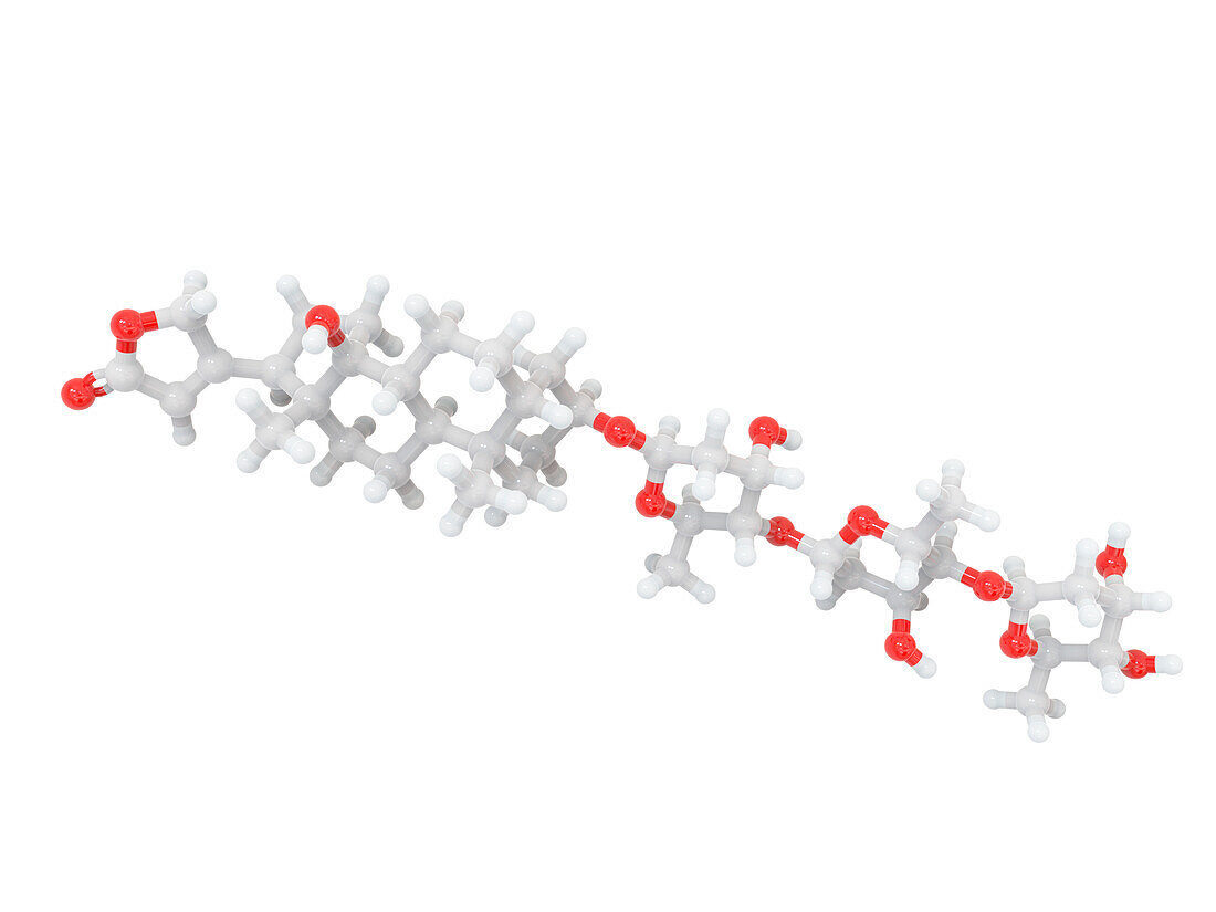 Digitoxin heart drug molecular structure, illustration