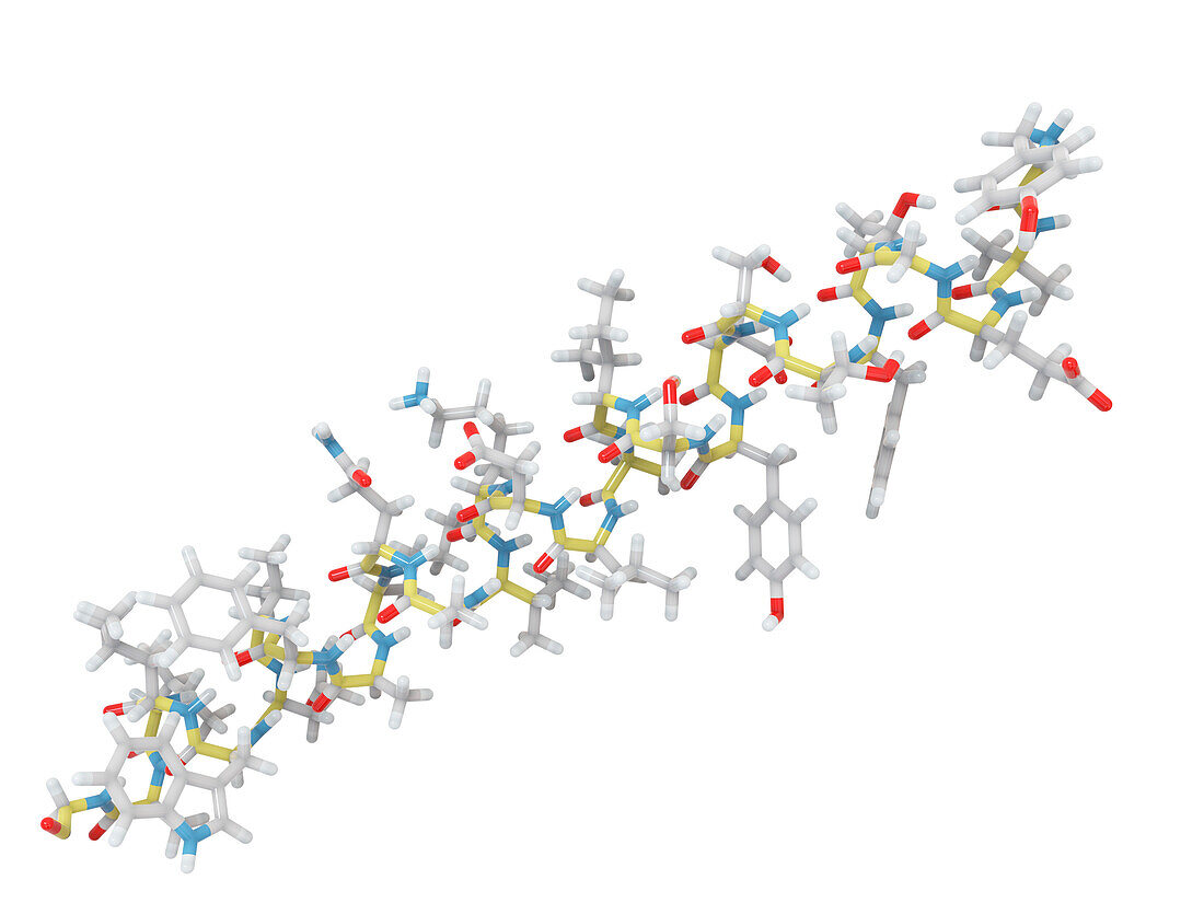 Antidiabetic drug, tirzepatide molecular structure, illustration
