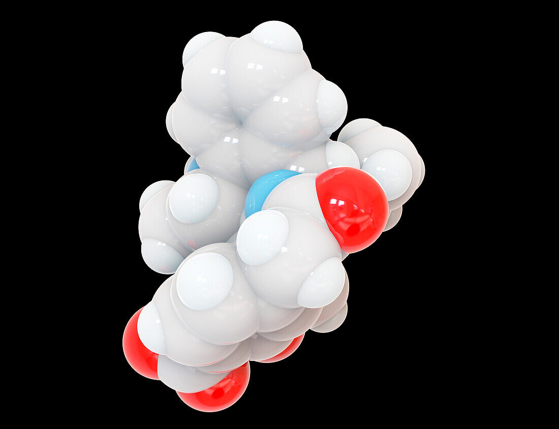 Repaglinide antidiabetic drug molecular structure, illustration