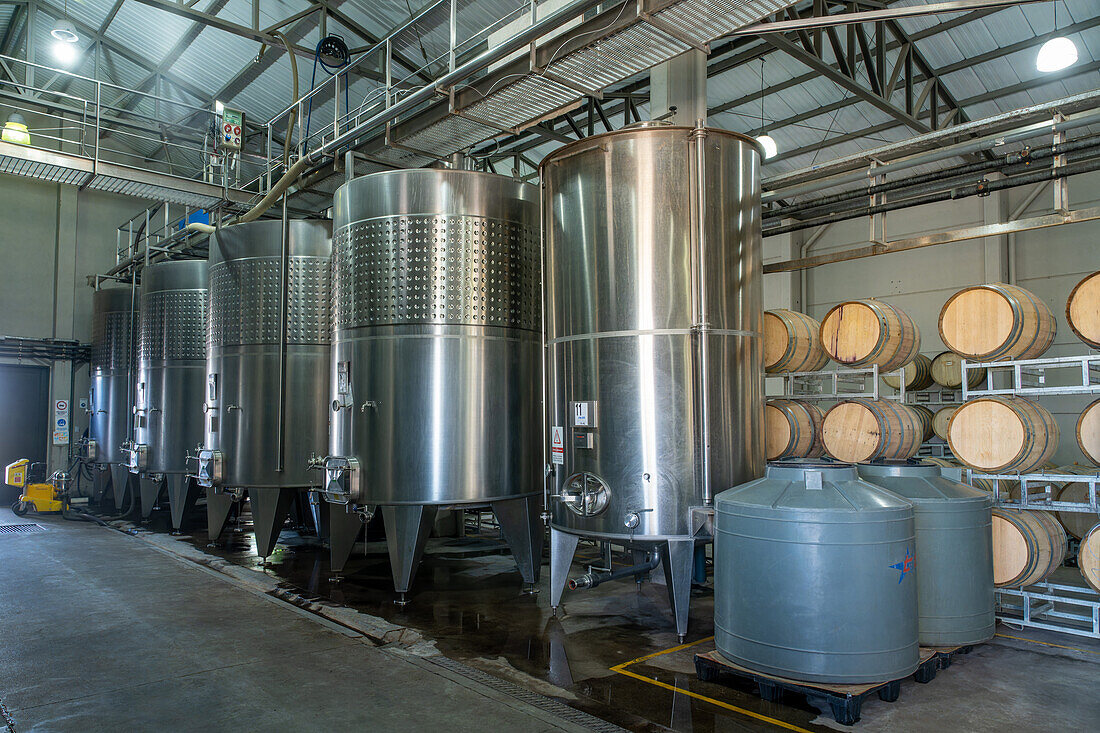 Fermentation vats and oak barrels