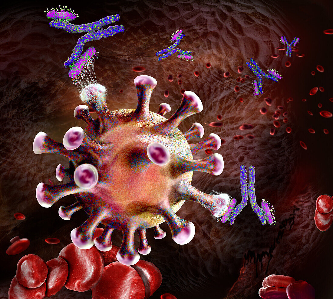 Antibodies attacking virus particle, illustration