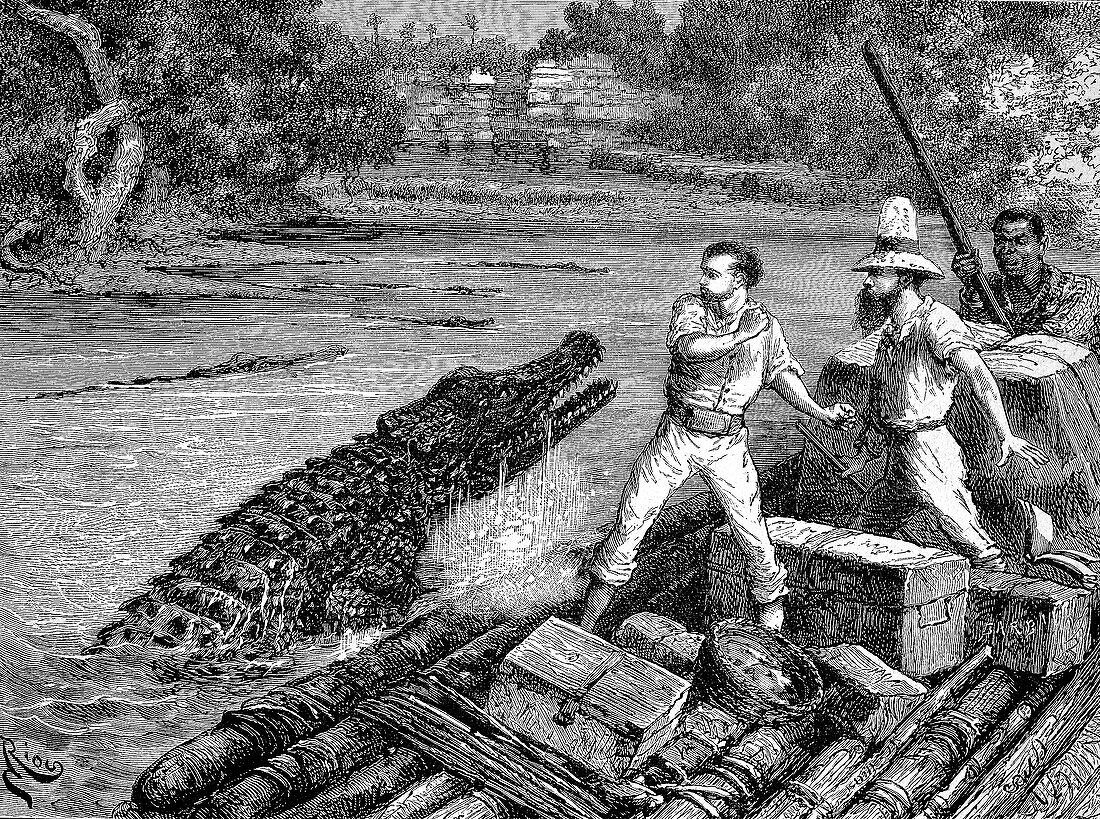 Crocodile attack, 19th century illustration