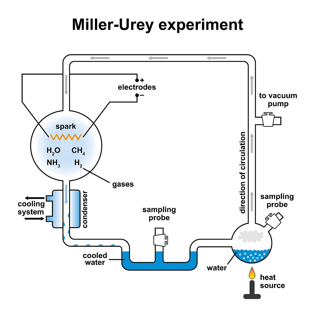 Miller-Urey experiment, illustration