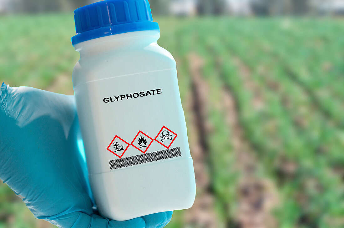 Container of glyphosate herbicide