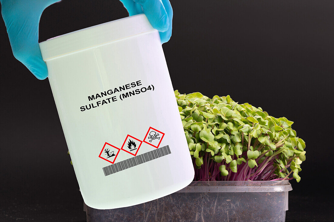 Container of manganese sulphate