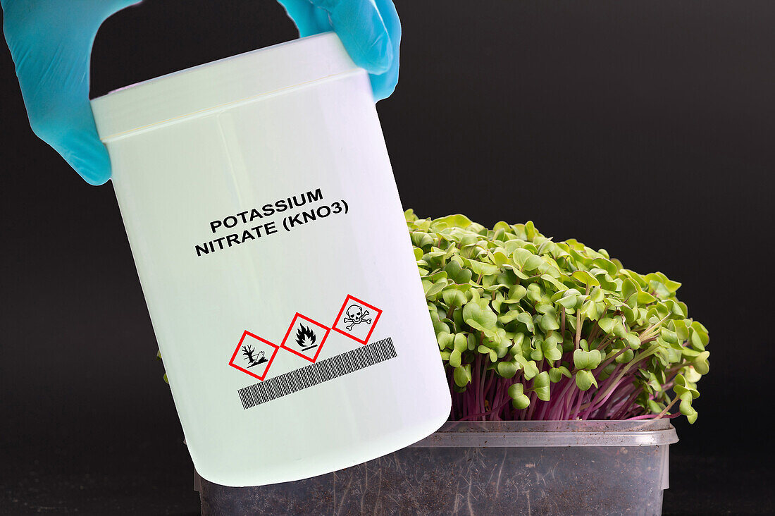 Container of potassium nitrate