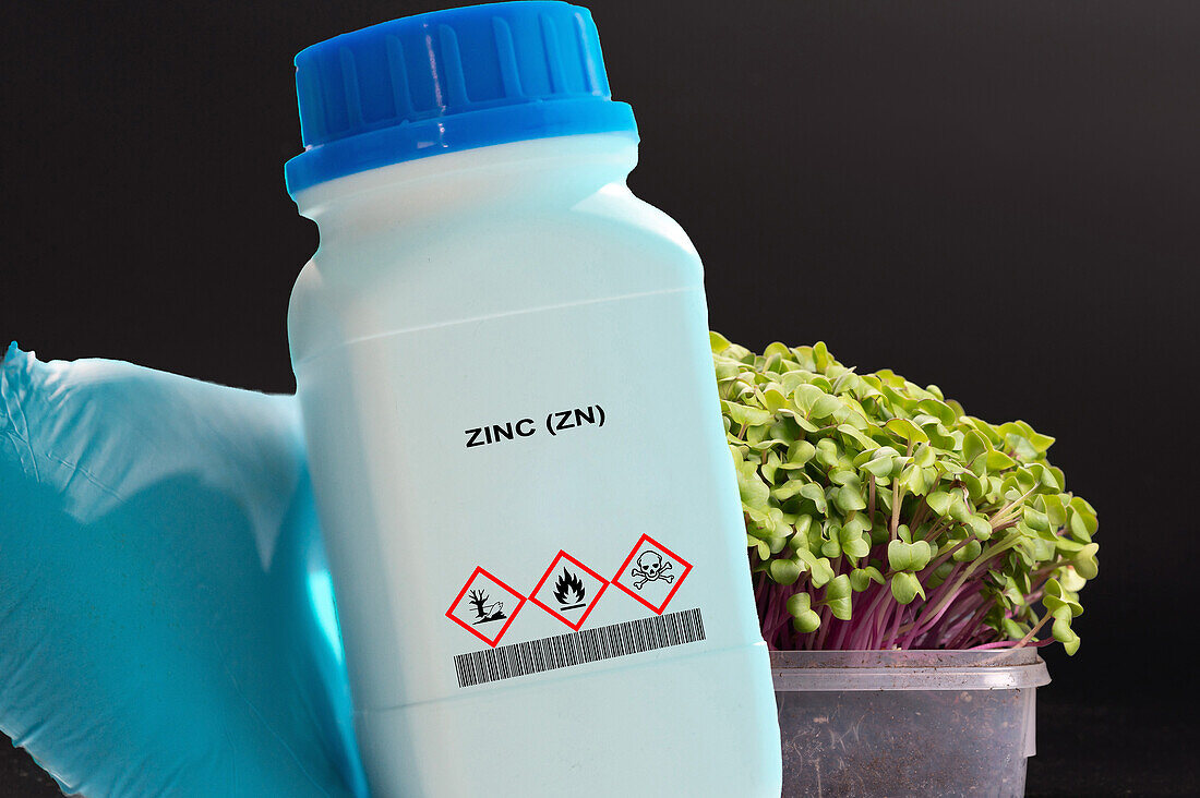 Container of zinc
