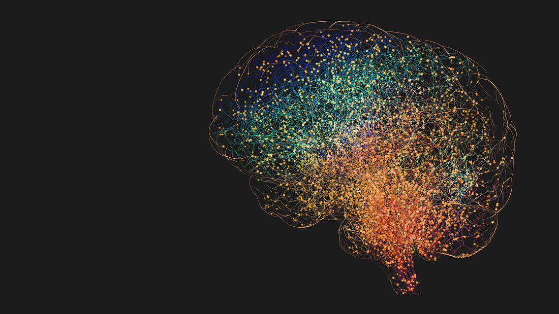Human brain, illustration