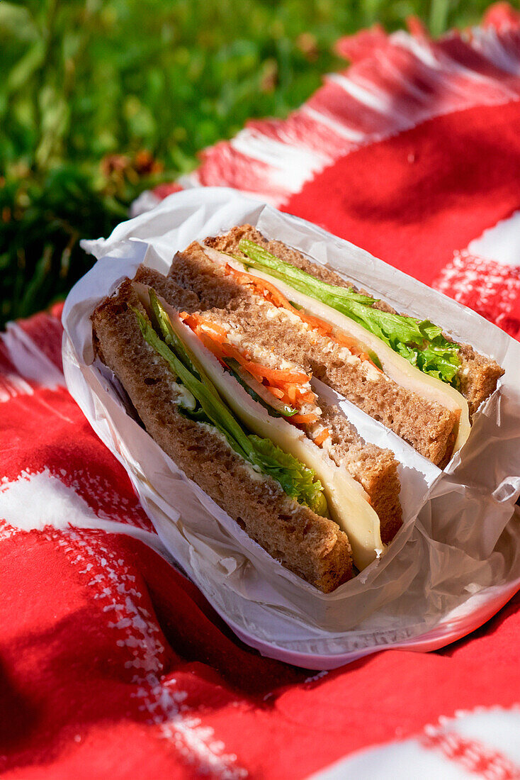 Picknick-Sandwich