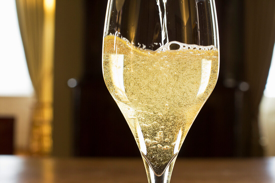 Sparkling wine is poured into a glass