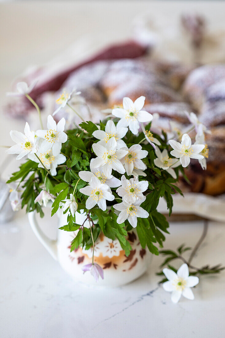 White anemone (Anemone nemorosa) in a coffee cup