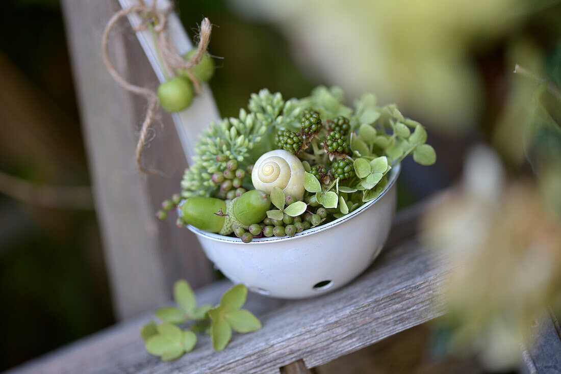 Herbstdeko mit Sukkulenten, Sedum, Schneckenhaus und Eicheln in hängender Schöpfkelle