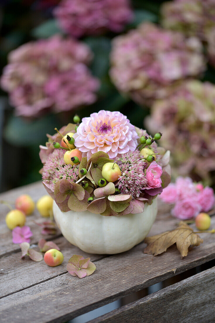 Autumnal arrangement with ornamental pumpkin vase, hydrangea flowers, dahlias (Dahlia) and ornamental apples on a wooden table