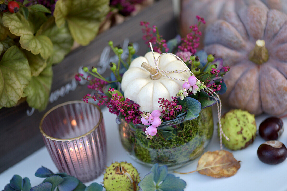 Herbstliches Arrangement mit Mini-Kürbis, Erika (Calluna), Schneebeeren (Symphoricarpos), Kastanien und Hortensienblüten (Hydrangea)