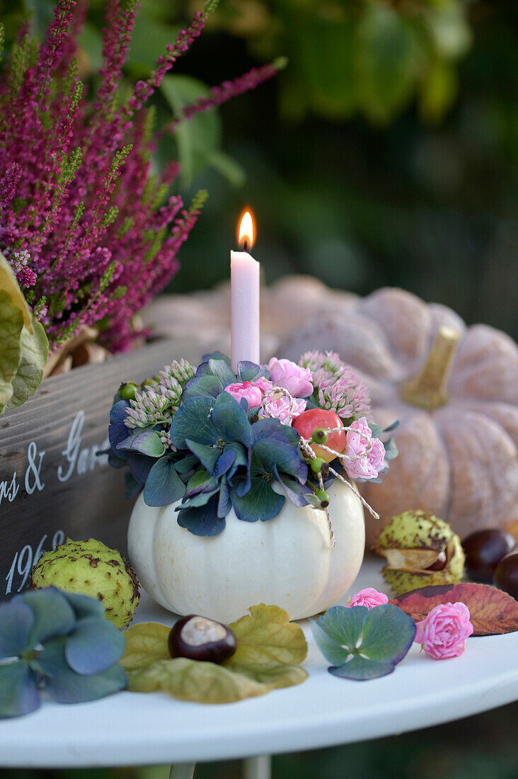 Autumn decoration with ornamental pumpkins, chestnuts and hydrangeas on a white table