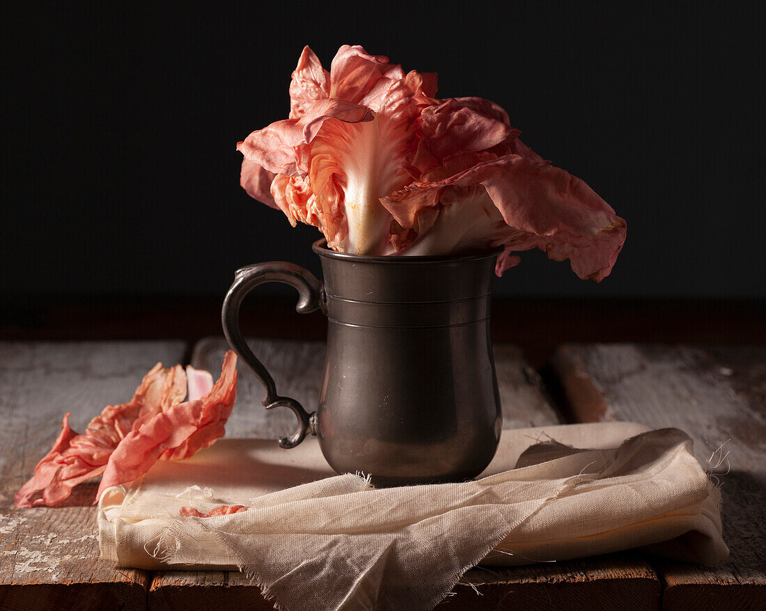 Still life with radicchio rosso in a pewter cup