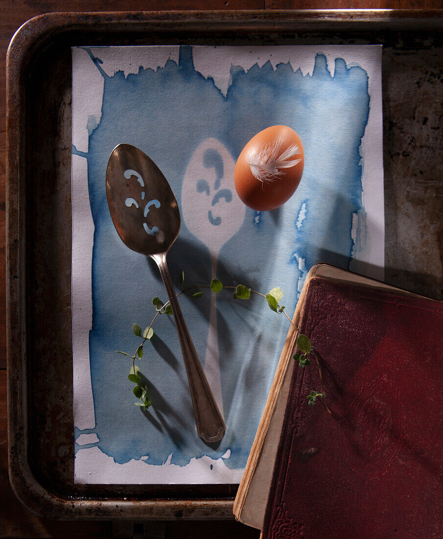 Still life with egg, antique spoon and sprig of thyme on cianotype paper