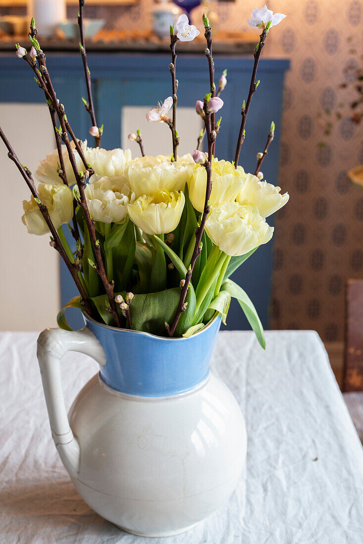 Yellow tulips (Tulipa) and cherry branches in a blue and white jug