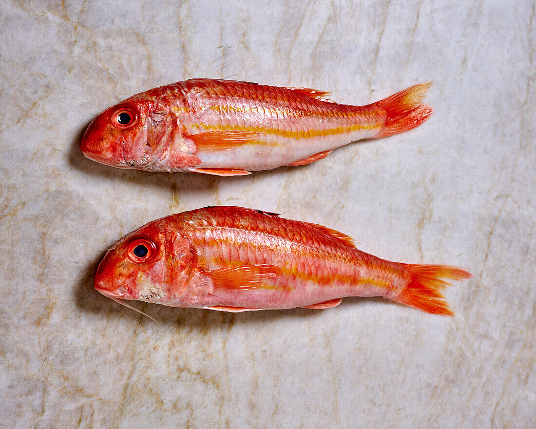 Two whole red mullets (Rouget) on a light-coloured background
