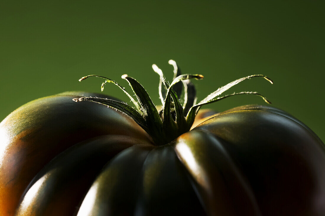 Grüne Marmonde-Tomate auf grünem Hintergrund