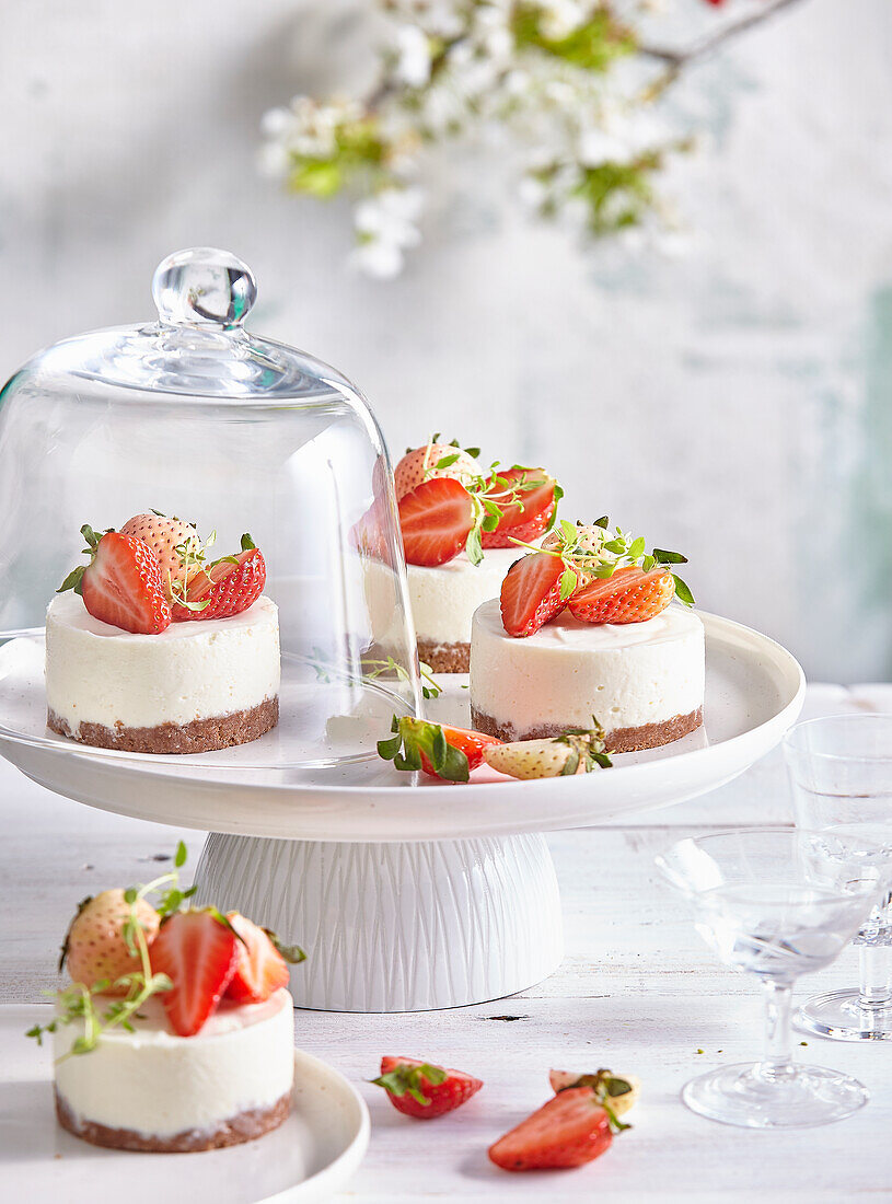 No-bake strawberry mini cakes with lime cream and biscuit base