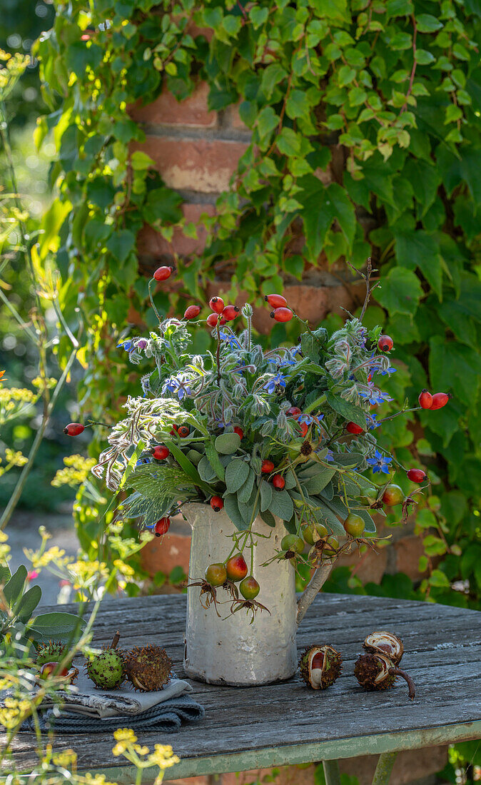 Herbstliches Arrangement mit Borretsch, Salbei, Hagebutten (Rosa canina), Kastanien in Steinkrug auf der Terrasse