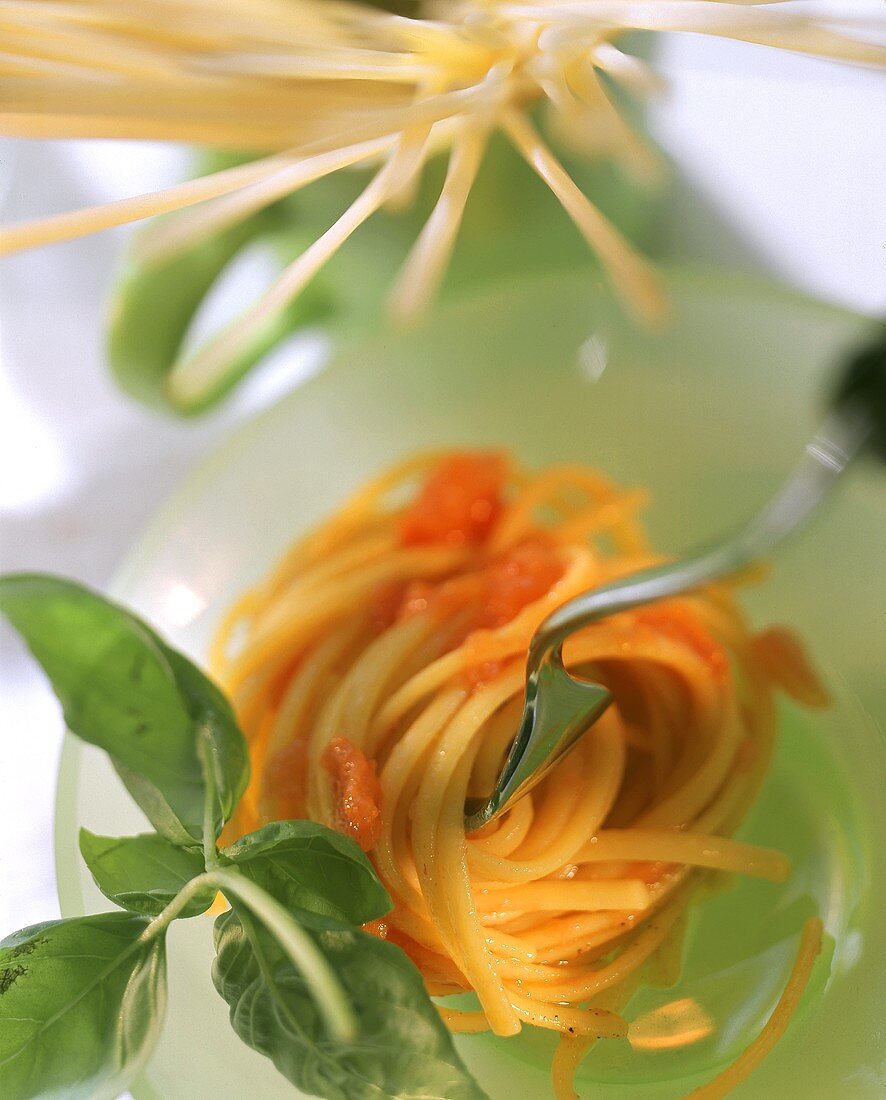 Spaghetti Twirled Up in a Fork