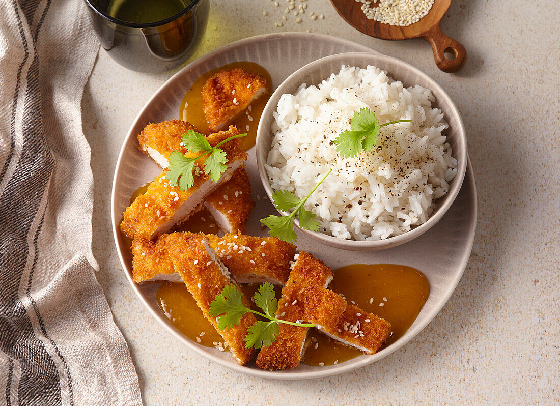 Breaded chicken with curry sauce and rice