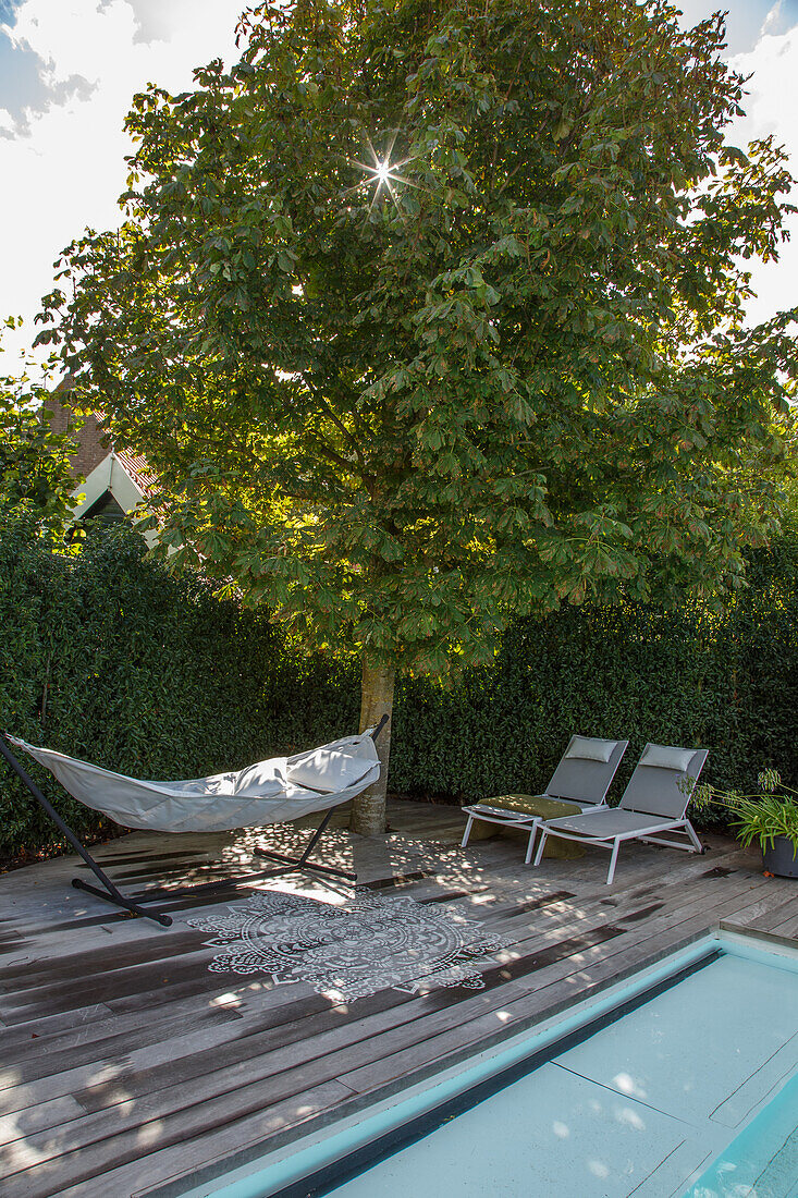 Hängematte und zwei Liegestühle auf Holzterrasse neben dem Pool unter einem Baum