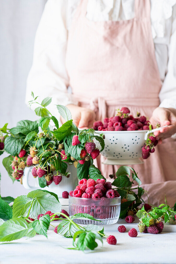 Frisch gepflückte Himbeeren in Sieb und Schale