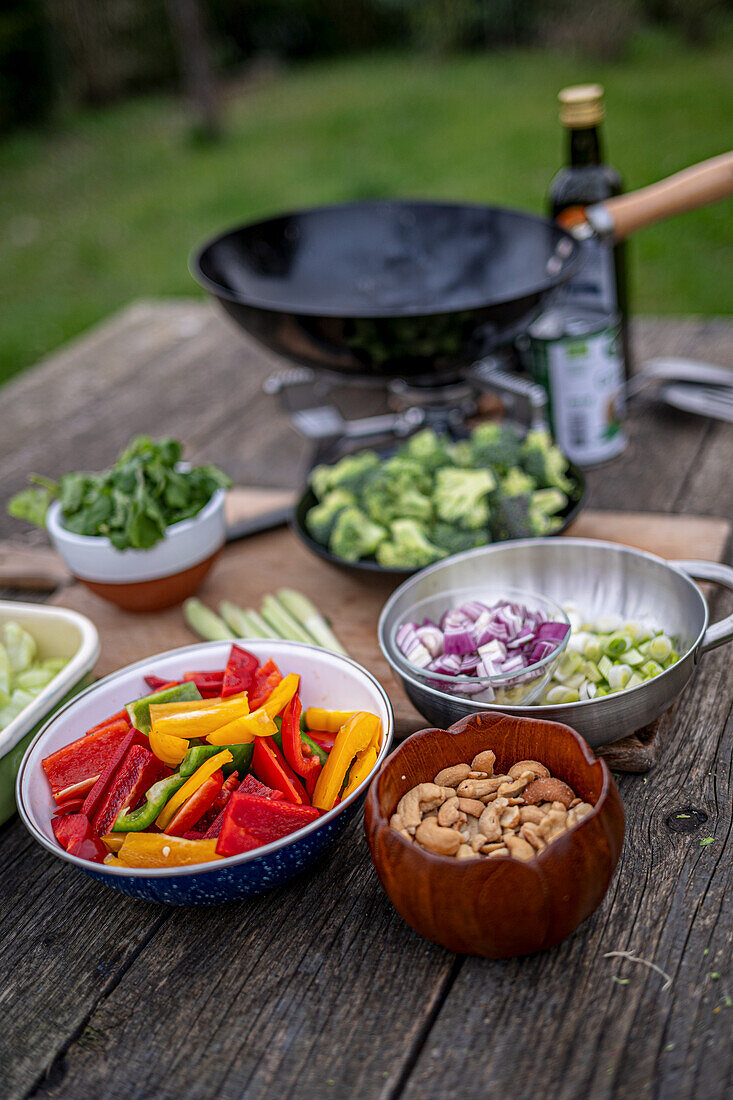 Ingredients for Thai vegetable curry