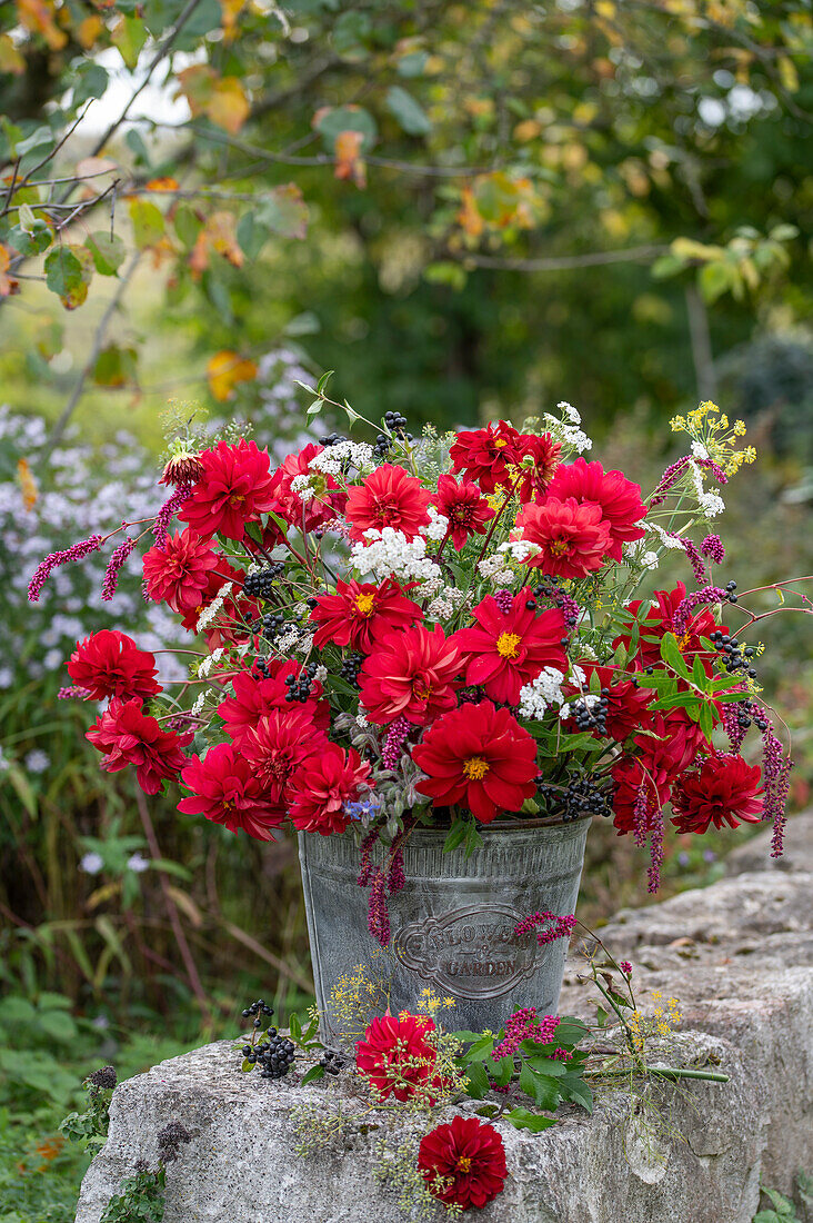 Herbstlicher Strauß aus Dahlien (Dahlia), Schafgarbe, Borretsch, orientalischer Knöterich, Beeren von Liguster, Fenchelblüten