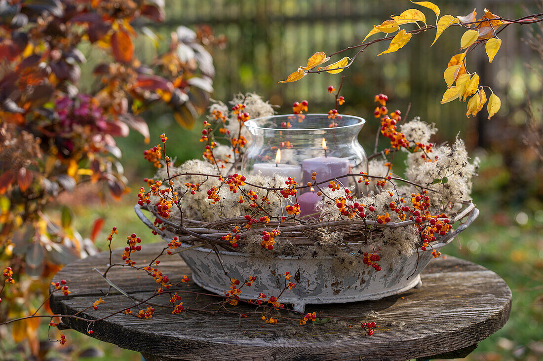 Autumn wreath with tendrils of tree strangler (Celastrus orbiculatus) and fruit clusters of clematis, with lantern