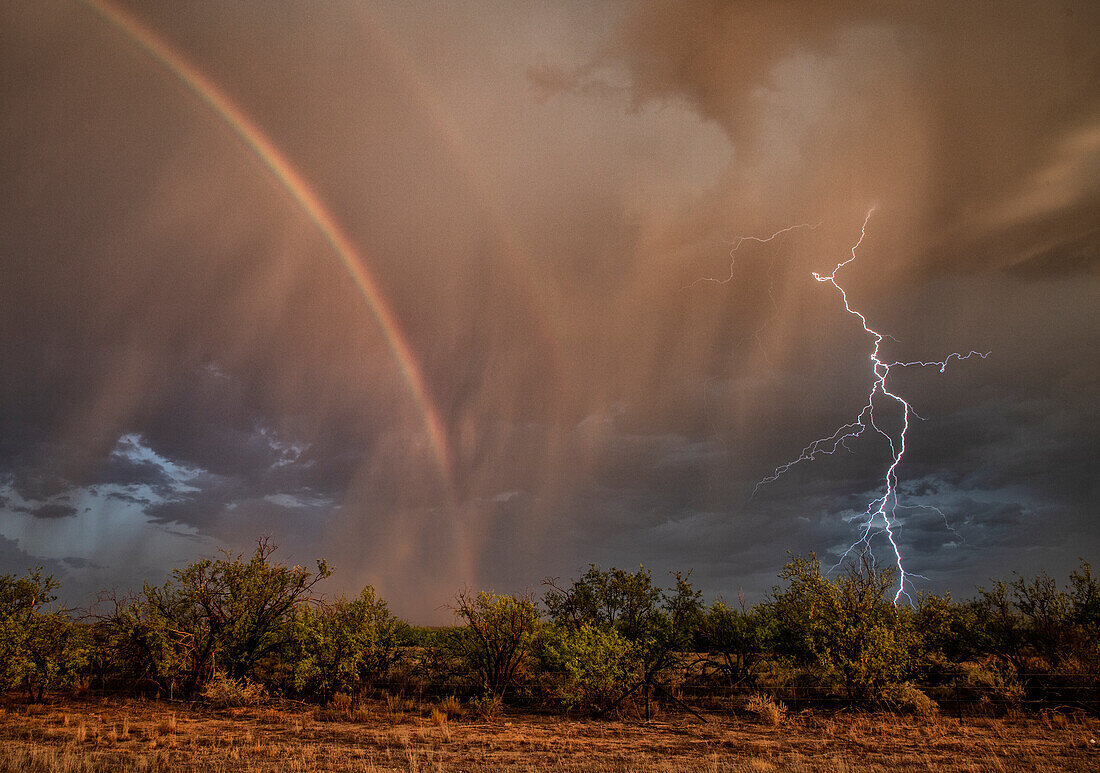 Lightning strike over Three Points, Arizona, USA