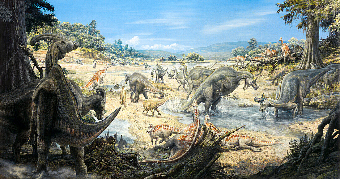 Hadrosaurs around watering hole, illustration