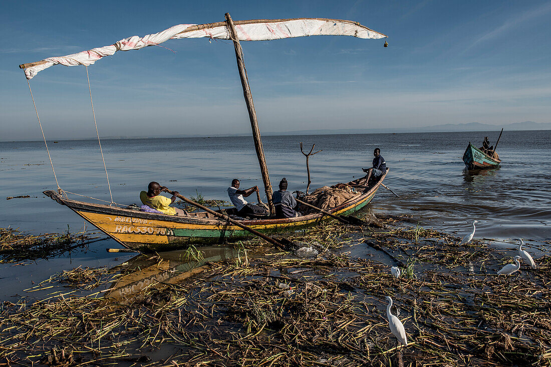 Fisherman rowing ashore, Kenya