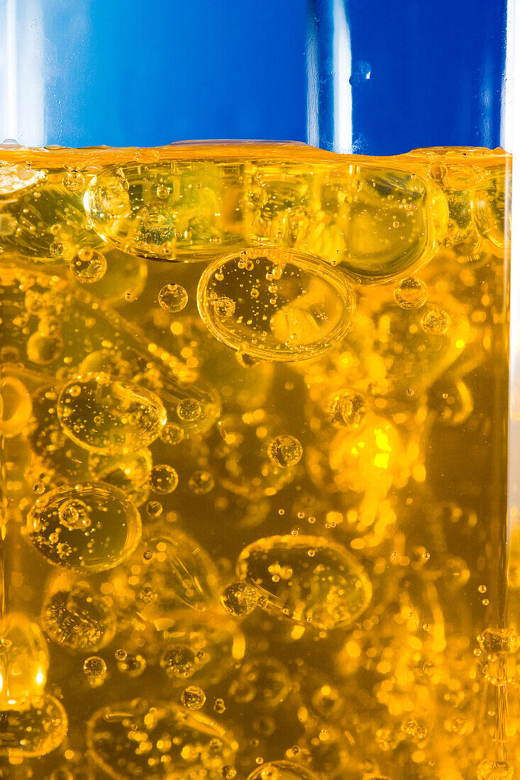 Soap bubbles in a beaker, light micrograph