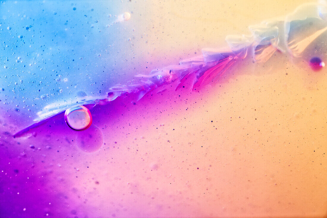 Air bubbles in candle gel, light micrograph