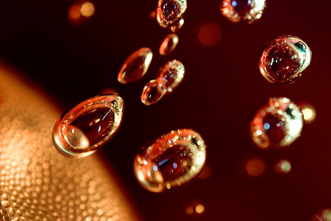 Air bubbles in candle gel, light micrograph