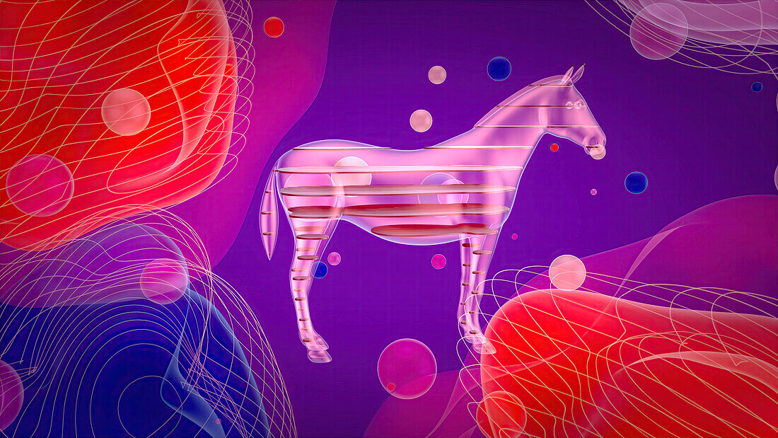 Horse, illustration