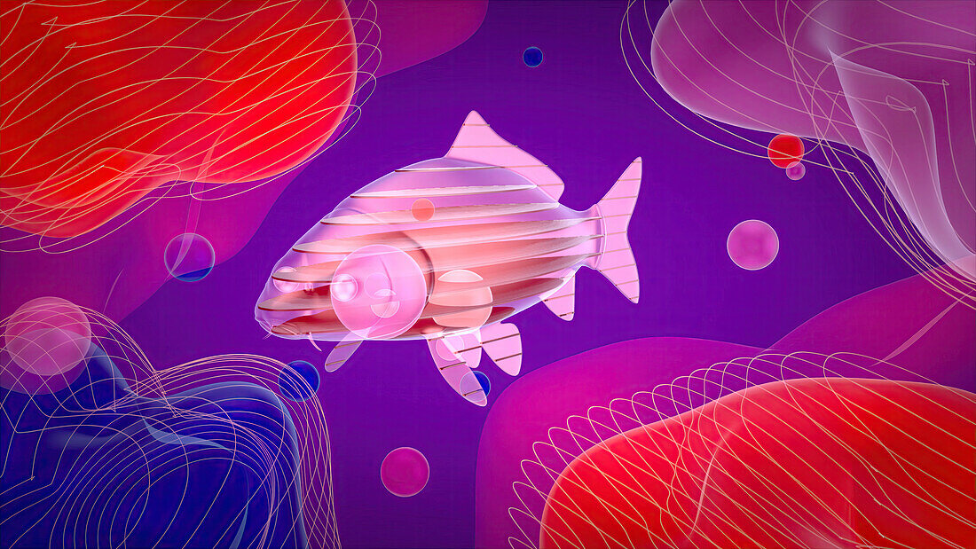 Fish, illustration